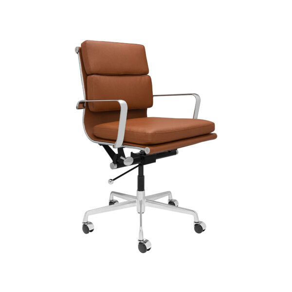 Brown Padded Desk Chair