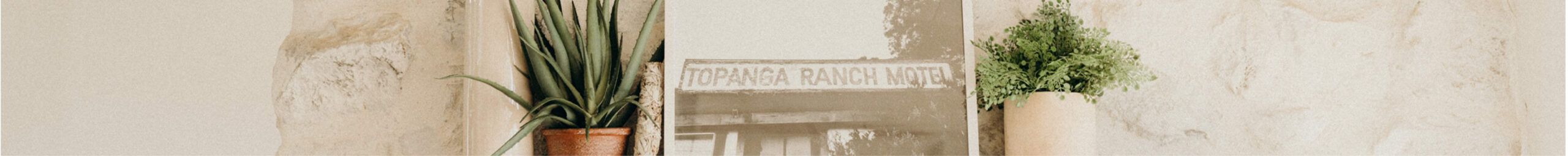thinbanner-cjfaves-images